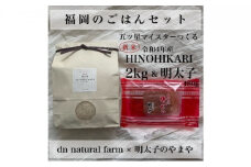 福岡のごはんセット【農家直送】新米ヒノヒカリ無洗米2kg × やまや『うちのめんたい180g』※配送不可：離島