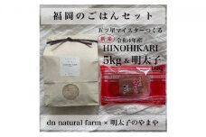 福岡のごはんセット【農家直送】 新米ヒノヒカリ5kg × やまや『うちのめんたい180g』※配送不可：離島