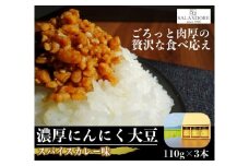 濃厚にんにく大豆_スパイスカレー味_3本セット