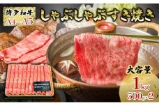 牛肉 厳選部位 合計1000g しゃぶしゃぶ すき焼き 500g×2p 博多和牛 A4～A5 セット 配送不可 離島