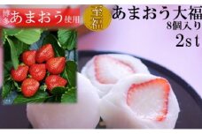 至福 あまおう 大福 16個【配送不可：離島】