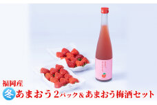 いちご あまおう 2パック 冬＆あまおう梅酒 あまおうはじめました。 500ml×1本セット 配送不可 離島