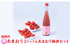 いちご あまおう 2パック 春 ＆あまおう梅酒 あまおうはじめました。 500ml×1本セット 配送不可 離島