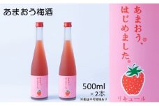 梅酒 あまおう梅酒 あまおうはじめました。500ml×2本