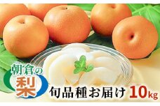 梨 季節の朝倉の梨 10kg 12-36玉 配送不可 離島