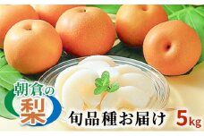 梨 季節の朝倉の梨 5kg 6-18玉 配送不可 離島