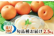 梨 季節の朝倉の梨 2.5kg 2-6玉 配送不可 離島