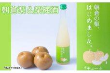 梨 くだもの梨 2～3個＆梨梅酒 朝倉の梨はじめました。500ml×1本セット 配送不可 離島