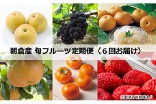 定期便【先行予約・2023年お届け】フルーツ 朝倉産 旬の果物 6回お届け お楽しみ ※配送不可：離島