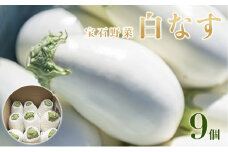 なす ナス 白なす 宝石野菜 9個入 茄子