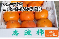 【訳あり】太秋柿 Lサイズ×8個入★マルハツ商店【配送不可：離島】