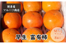 柿 富有柿 早生 M～Lサイズ×8個入 マルハツ商店