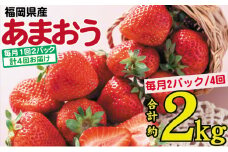 フルーツ 定期便 4ヶ月 2024発送 あまおう いちご 2パック イチゴ 苺 4回 お楽しみ ※配送不可：離島