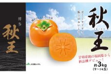 柿 秋王 あきおう 約3kg 9～14玉 2024年発送 果物 フルーツ デザート かき オンライン決済限定 配送不可:離島