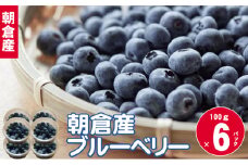 完熟 ブルーベリー 約100g×6パック【配送不可：離島】