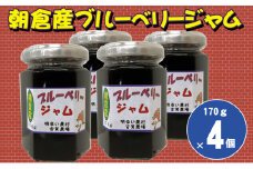ブルーベリージャム 170g×4個