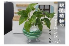カラーサンド（ガラス花器：丸）グリーン系