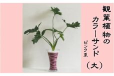 カラーサンド（ガラス花器：大）ピンク系