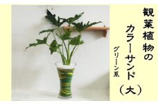カラーサンド（ガラス花器：大）グリーン系