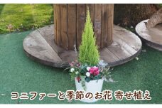コニファーと季節のお花 寄せ植え 植物 インテリア ガーデン