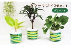 カラーサンド 3個 セット グリーン系 植物 インテリア ガーデン