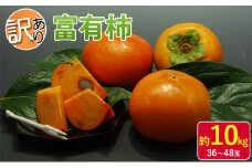【訳あり】富有柿【柿】約10kg（36～48玉）（オンライン決済限定）※配送不可：離島