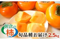 柿 朝倉の柿はじめました。季節の朝倉の柿 約2.5kg 8-10玉 配送不可 離島