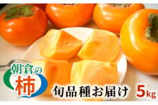 柿 朝倉の柿はじめました。季節の朝倉の柿 約5kg 16-20玉 配送不可 離島