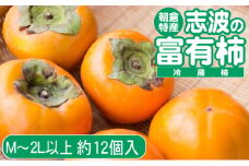 2025年先行予約 志波の富有柿 M～2Lサイズ×約12個入（冷蔵）発送予定：2025年12月20日～2026年1月31日 ※配送不可：離島 果物 フルーツ 秋の味覚 おやつ デザート 産地直送 ブランド 柿の王様 福岡県産 朝倉市産