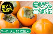 2025年先行予約 志波の富有柿 家庭用 M～2Lサイズ×約12個入 発送予定：2025年11月20日～12月25日 ※配送不可：離島 果物 フルーツ 秋の味覚 おやつ デザート 産地直送 ブランド 柿の王様 福岡県産 朝倉市産