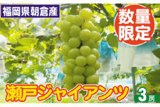 2025年8月15日迄受付 瀬戸ジャイアンツ ぶどう 3房 約1.5kg 朝倉産 配送不可 離島 ブドウ 葡萄 オンライン決済限定