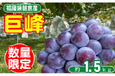 2025年8月15日迄受付 巨峰 ぶどう 4～5房 約1.5kg 朝倉産 オンライン決済限定