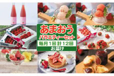 定期便12回 あまおう（いちご）バラエティーセット※配送不可：離島