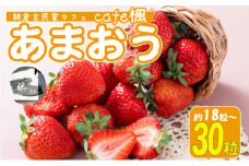 いちご あまおう 18粒～30粒 旬のあまおう ★ Cafe 楓 ★ イチゴ 苺 果物 フルーツ 配送不可：北海道・東北・沖縄・離島