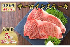牛肉 サーロインステーキ 合計5kg 博多和牛 A4～A5 セット 250g×20枚 配送不可：離島