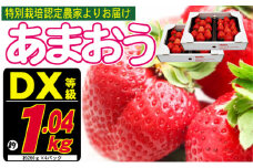 あまおう DX等級のみ 約1.04kg 約260g×4パック ※配送不可：北海道・東北・沖縄・離島