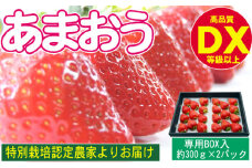 あまおう DX等級以上 約300g×2パック ※配送不可：北海道・東北・沖縄・離島