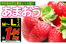 あまおう M～L 約1.04kg 約260g×4パック ※配送不可：北海道・東北・沖縄・離島