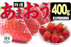 【朝倉市制施行20周年記念企画】 いちご 2025年12月より発送 特選あまおう 400g※配送不可：離島