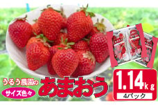 いちご 2025年12月より発送 うるう農園のあまおう サイズ色々4パック 約1.14kg※配送不可：離島 果物 フルーツ デザート 食後 特別栽培 福岡県産 国産 日本産 