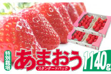 いちご 2025年12月より発送 うるう農園のあまおう スタンダード4パック 約1.14kg※配送不可：離島 果物 フルーツ デザート 食後 特別栽培 福岡県産 国産 日本産 