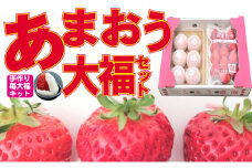 いちご 2025年12月より発送 うるう農園のあまおう大福キット（あまおう1パック＋大福6個セット）※配送不可：離島 果物 和菓子 生菓子 苺大福 フルーツ 和スイーツ 特別栽培 福岡県産 おやつ 