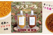 調味料 マスターネ プレーン しょう油 2本セット 100g×各1 マスタード 食べ比べ