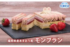 ケーキ Strawberry Fields 福岡産 あまおう 苺 モンブランケーキ 配送不可 離島