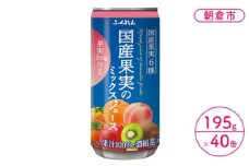 ジュース 果汁100％ 国産果実のミックスジュース 195g×20缶入り 2ケース ふくれん※配送不可：北海道・沖縄・離島