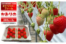 いちご かおりの苺 280g×2パック 配送不可 北海道 東北 果物類 フルーツ おやつ デザート 食後 上品な香り 酸味が少ない 産地直送 国産