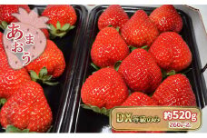 いちご あまおう DX 等級のみ 約520g（260g×2パック）配送不可 北海道 東北 沖縄 離島
