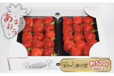 いちご あまおう M～Lサイズ 約520g（260g×2パック）配送不可 北海道 東北 沖縄 離島