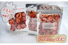 ドライフルーツ グラノーラ セット あまおうドライ 20g×2＋いちごいちごいちごあまおうグラノーラ 2パック セット