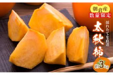 【先行予約】柿 太秋柿 3kg 箱 果物類 フルーツ 果物 果実 デザート おやつ 食後 秋の味覚 旬の果物 季節の味 国産 日本産 
